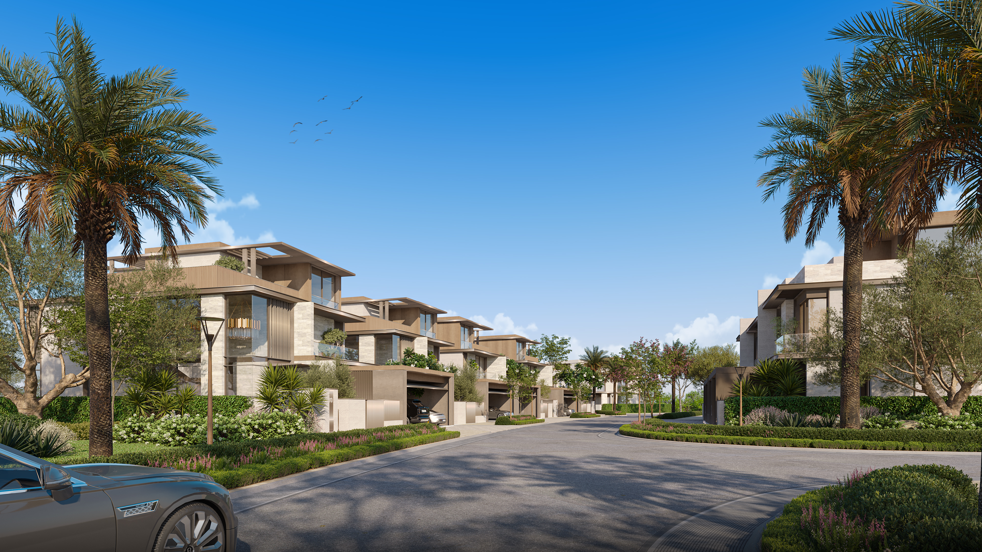 Palm-lined residential street at Nad Al Sheba Gardens